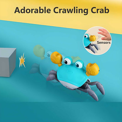 Crawling Crab Baby Toy 🦀