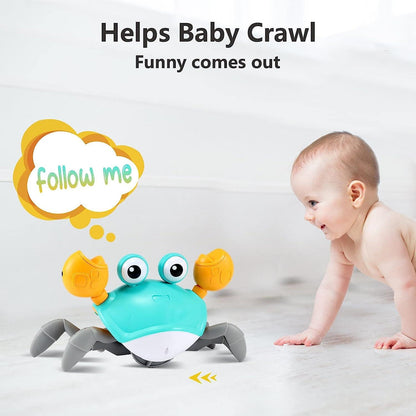 Crawling Crab Baby Toy 🦀